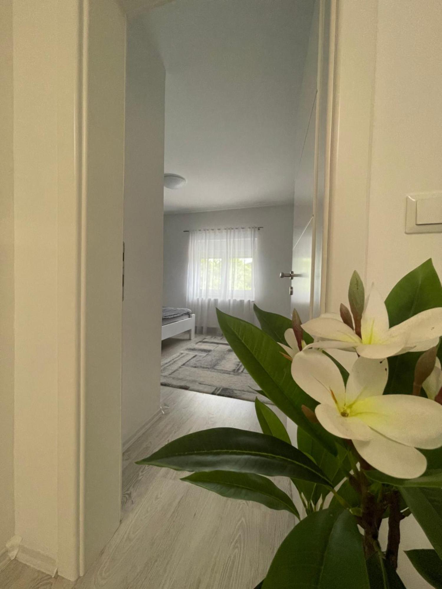 Apartman Kis Jajce Bagian luar foto